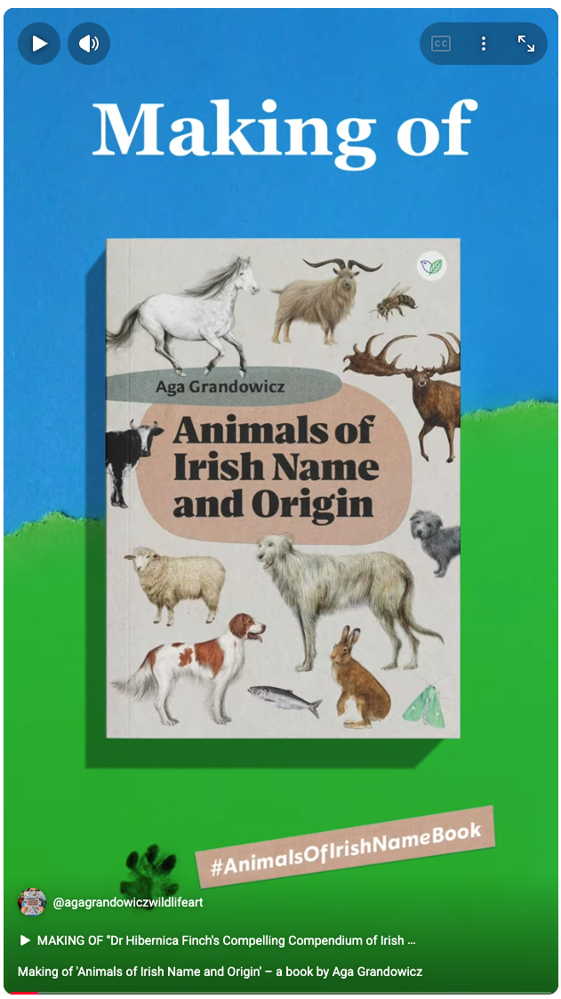 Animals of Irish Name and Origin_work-in-progress video_YouTube-screenshot