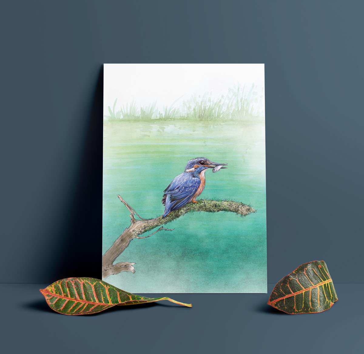 Kingfisher – artwork by Aga Grandowicz.