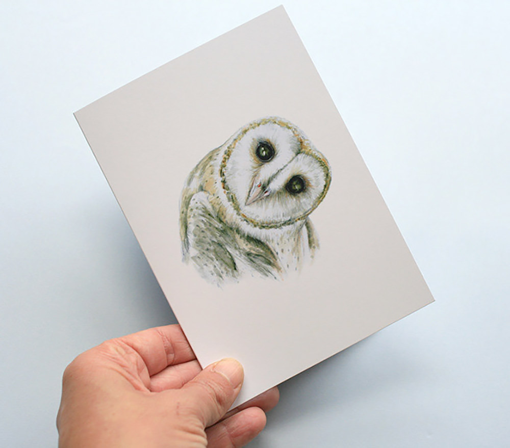 Barn owl card – featuring illustration from Remarkable Creatures: a guide to some of Ireland’s disappearing animals by Aga-Grandowicz_