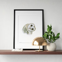 Barn own – A4 print