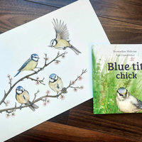 Blue tits on a blossom branch – original watercolour painting