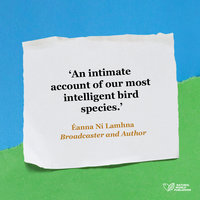 Encounters with corvids