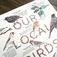 Our Local Birds – information board