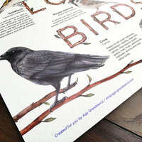 Our Local Birds – information board