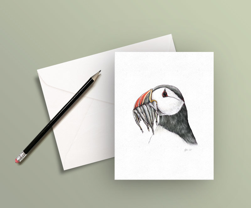 Greeting card – Atlantic puffin, illustration by Aga Grandowicz.