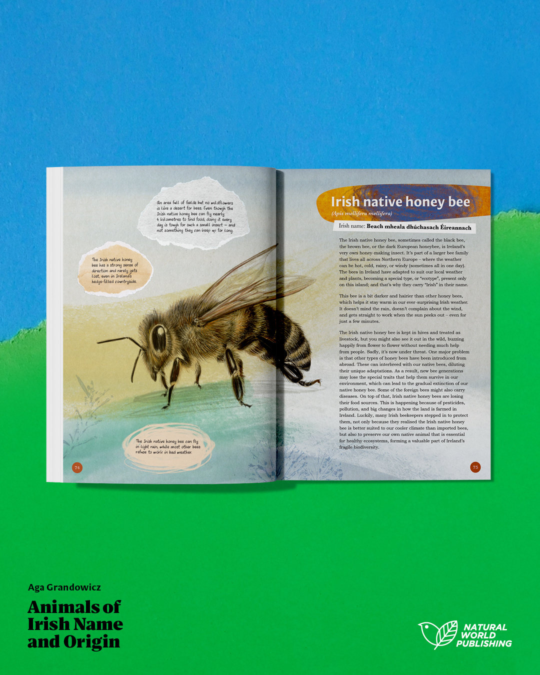 Animals of Irish Name and Origin – book