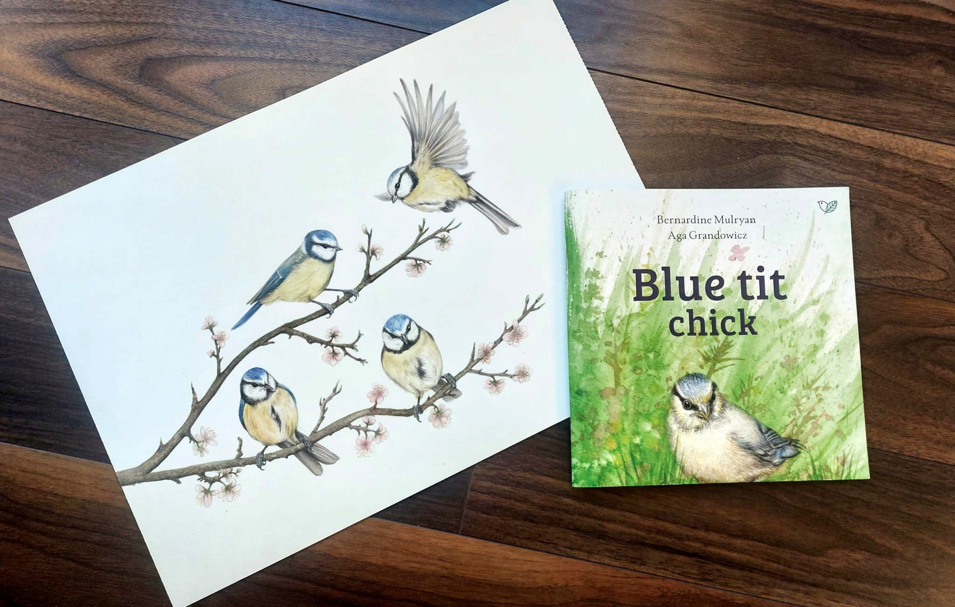 Blue tits on a blossom branch – original watercolour painting