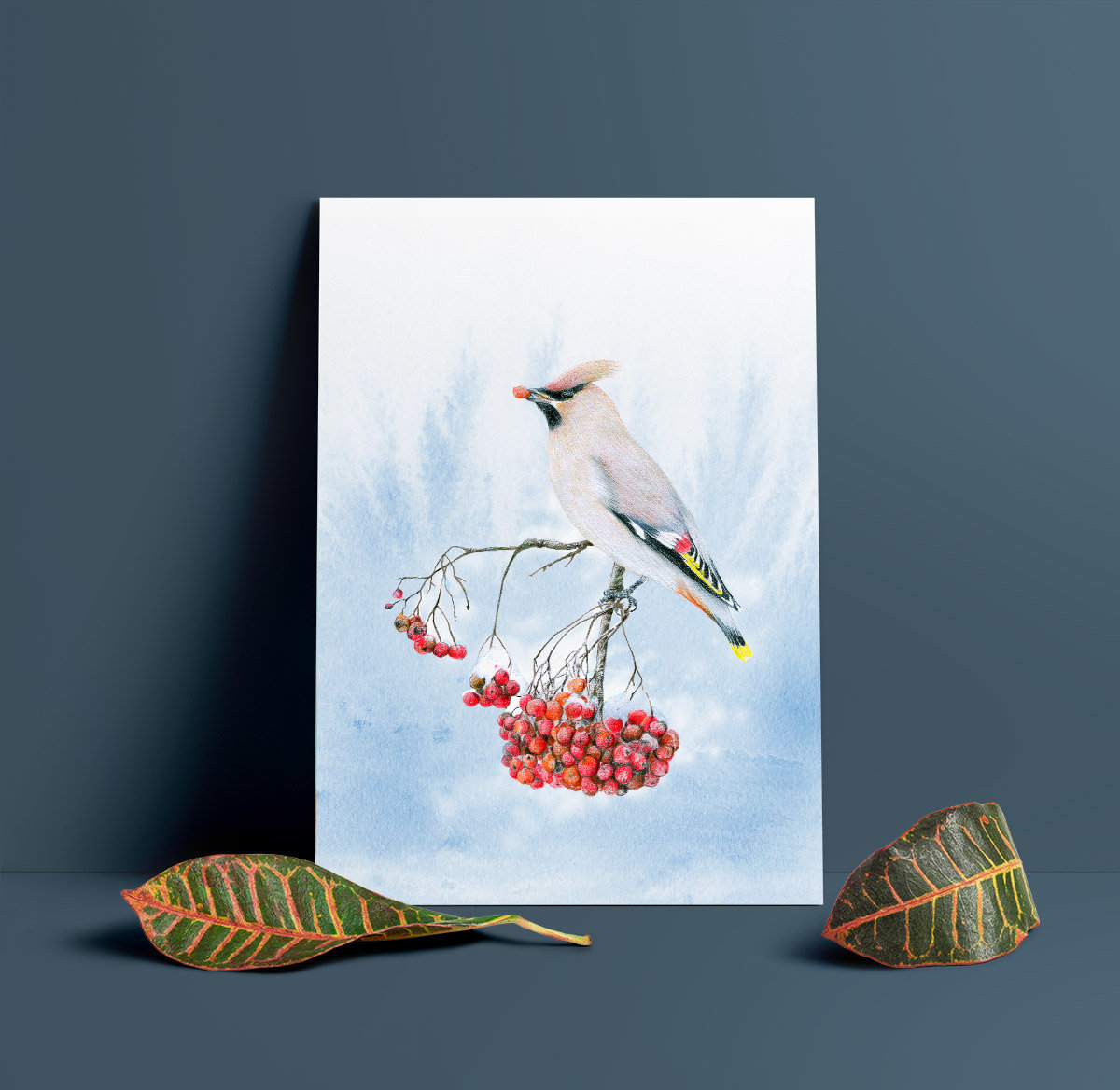Bohemian waxwing – A4 Art Print