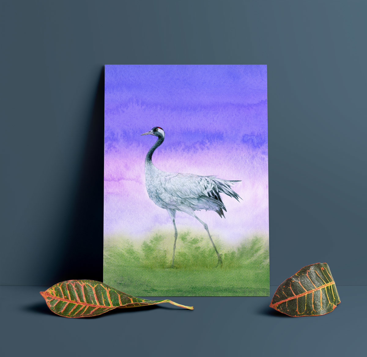 Common crane – A4 Art Print