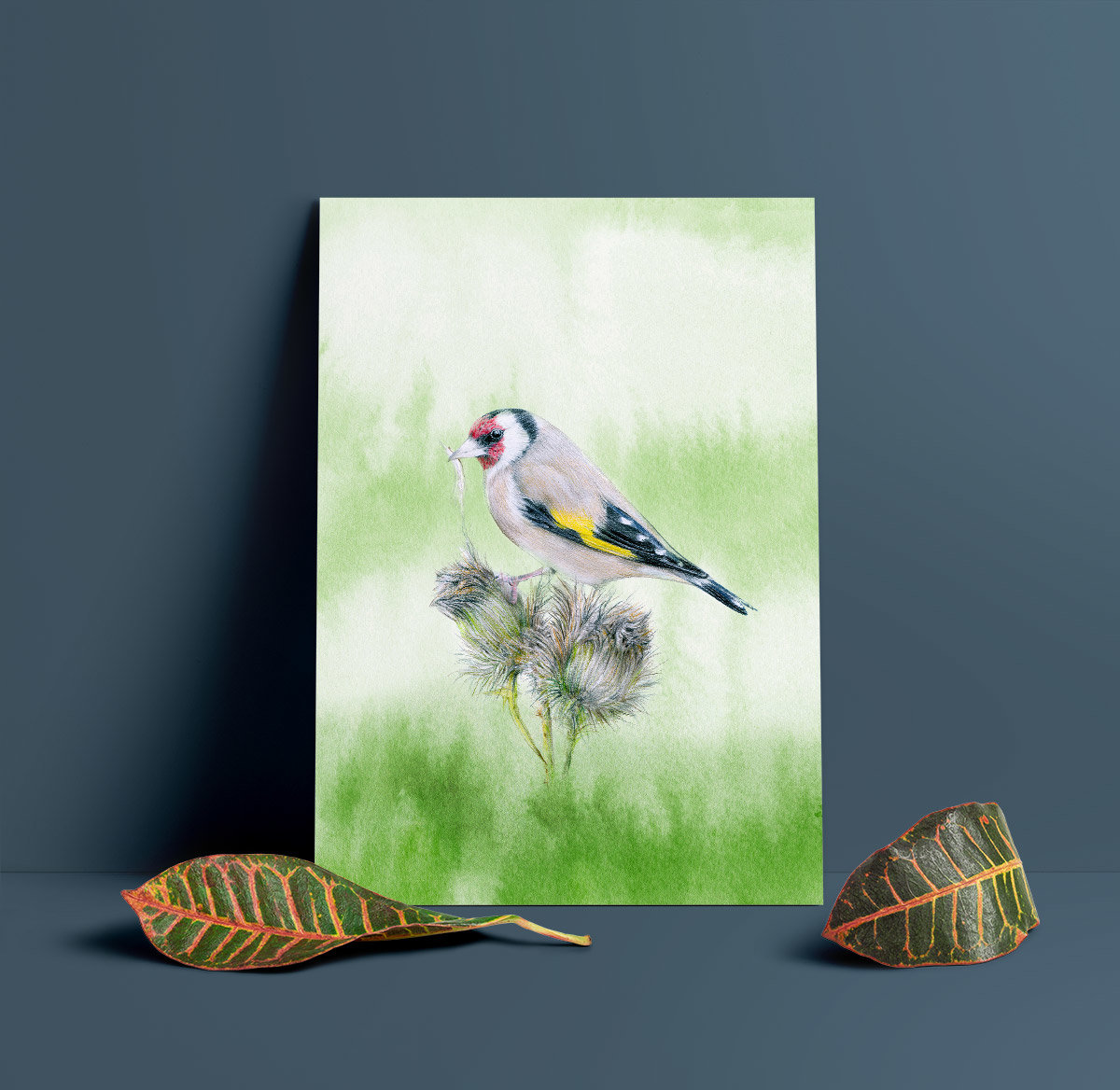 European goldfinch – A4 Art Print