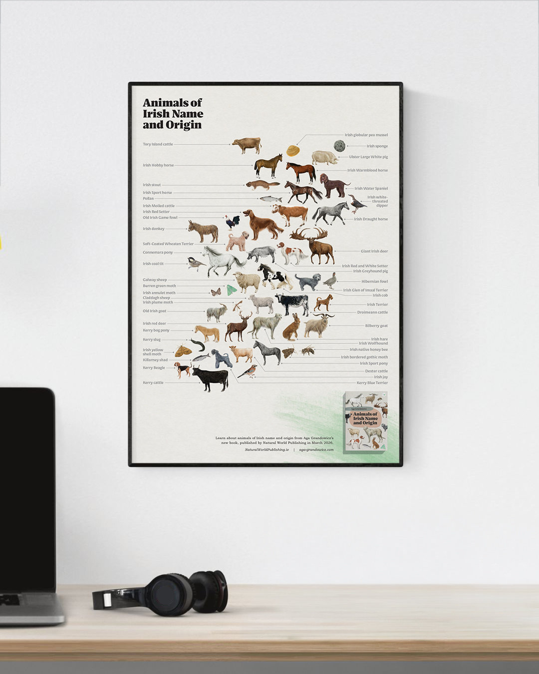 Animals of Irish Name and Origin – A3 poster