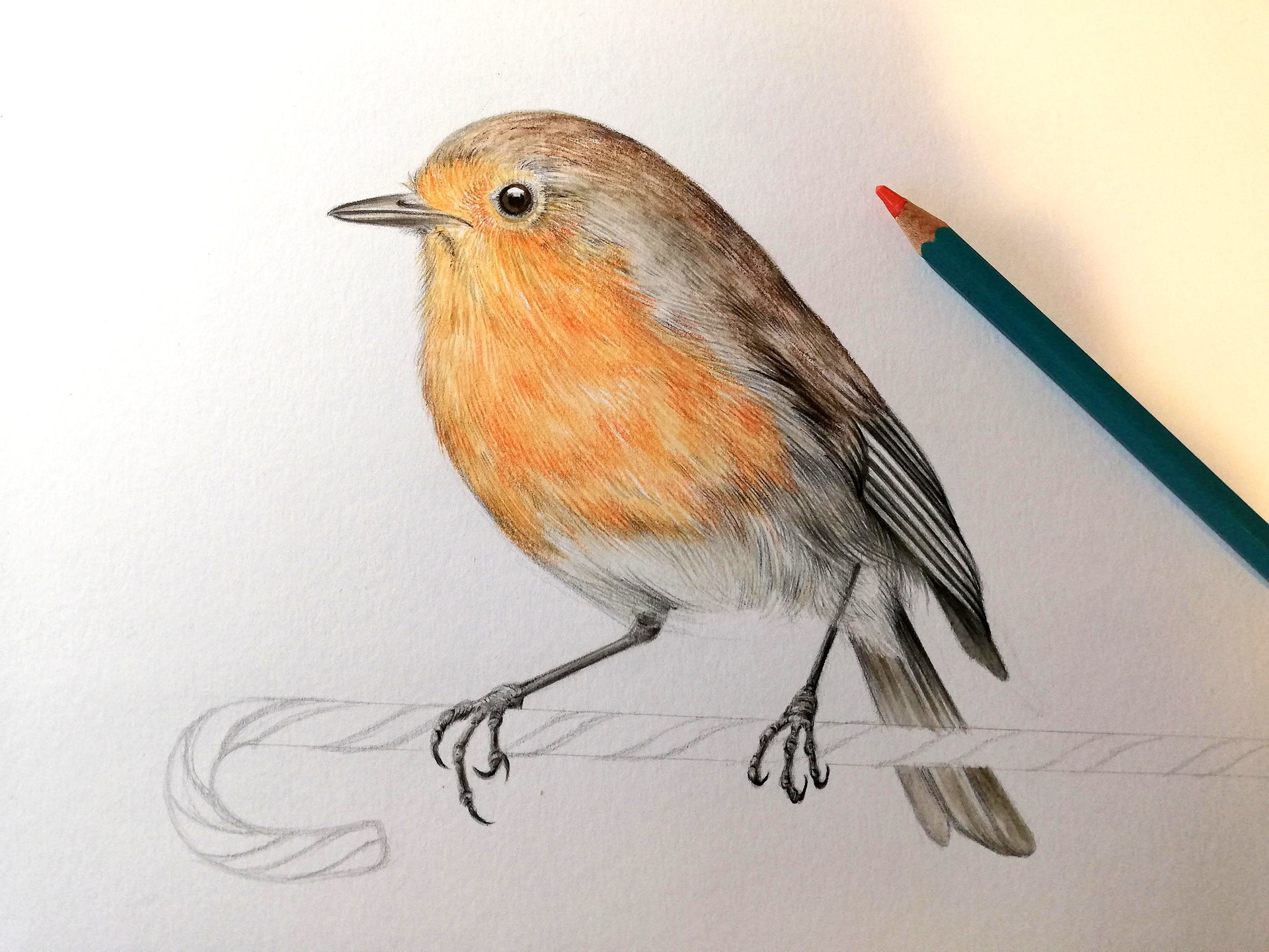 A6 CARD – Christmas robin