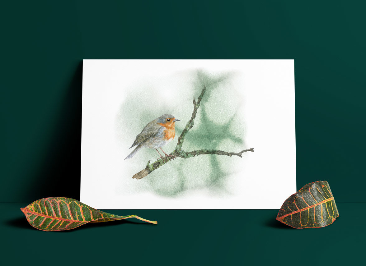 Robin on a branch – A4 Art Print