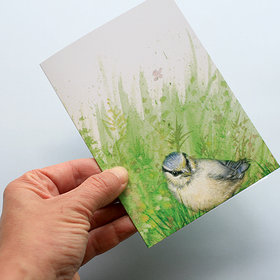 A6 CARD – blue tit chick – front.