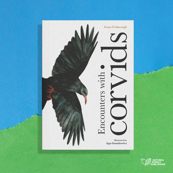 Encounters with corvids – book cover